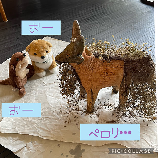 aureaさんの実例写真