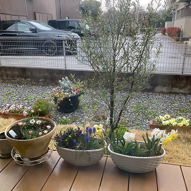 taakoさんの実例写真