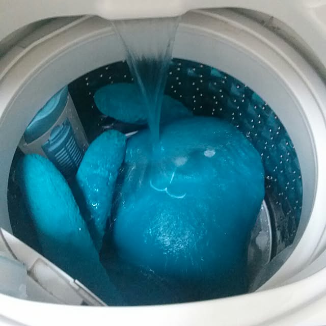 haruさんの実例写真