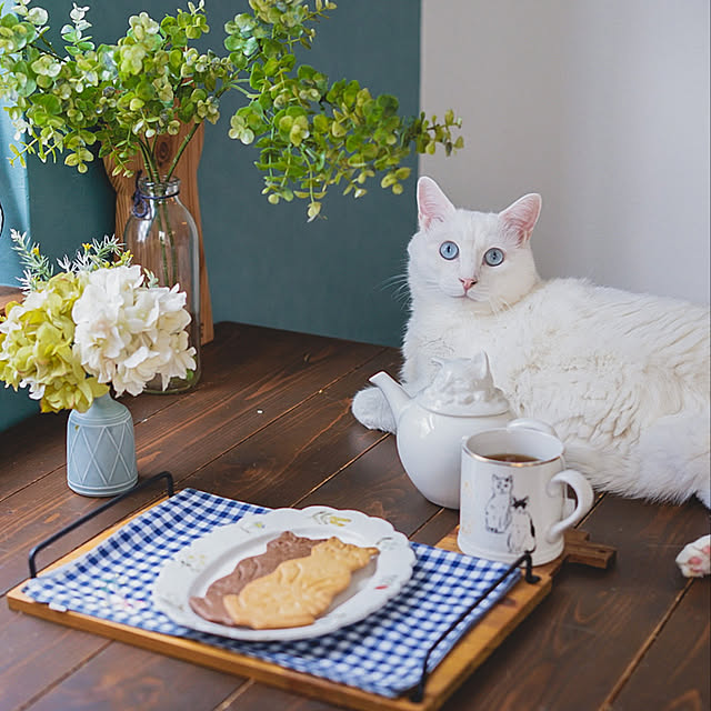 yuiiiさんの実例写真