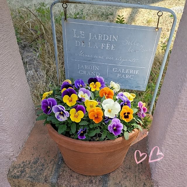 dadaさんの実例写真