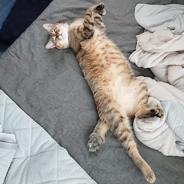 maikyさんの実例写真