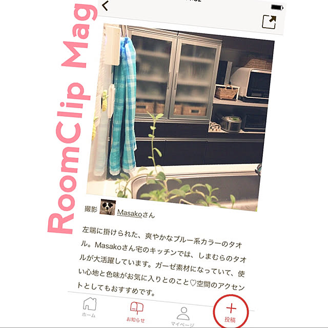 Masakoさんの実例写真