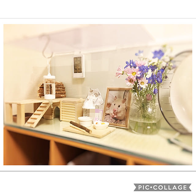 DORAさんの実例写真