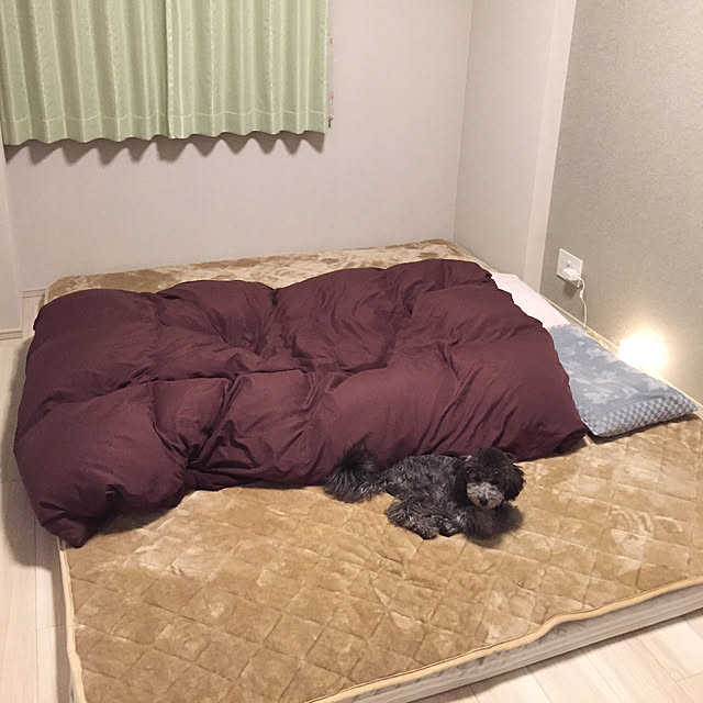 si_lion_riusさんの実例写真