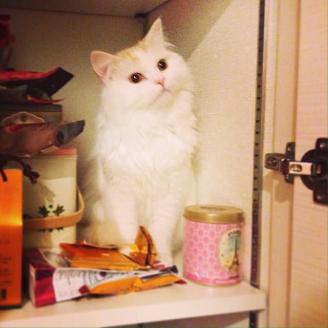 macaron_gallさんの実例写真