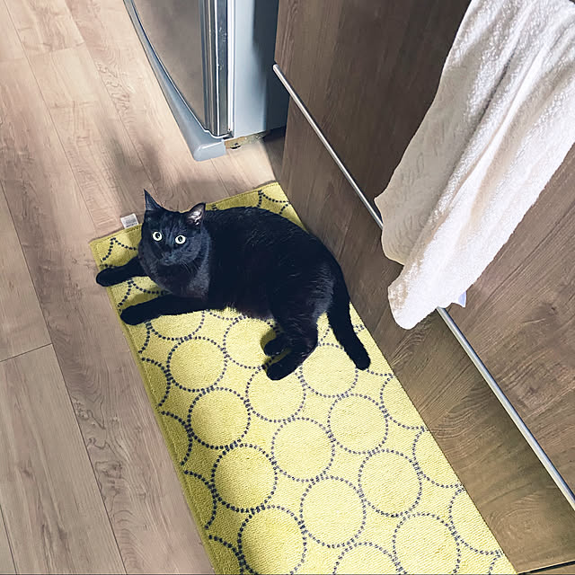 nicoさんの実例写真