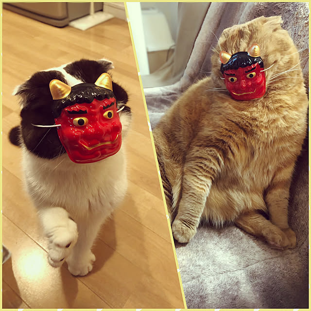 pinaminさんの実例写真