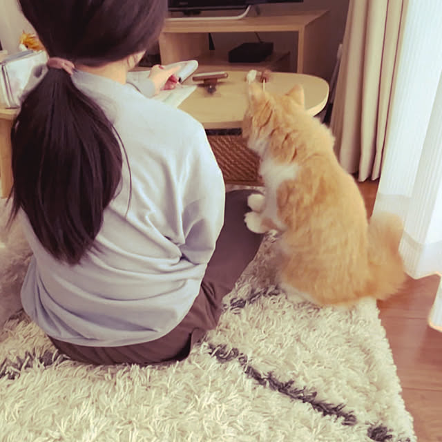junさんの実例写真