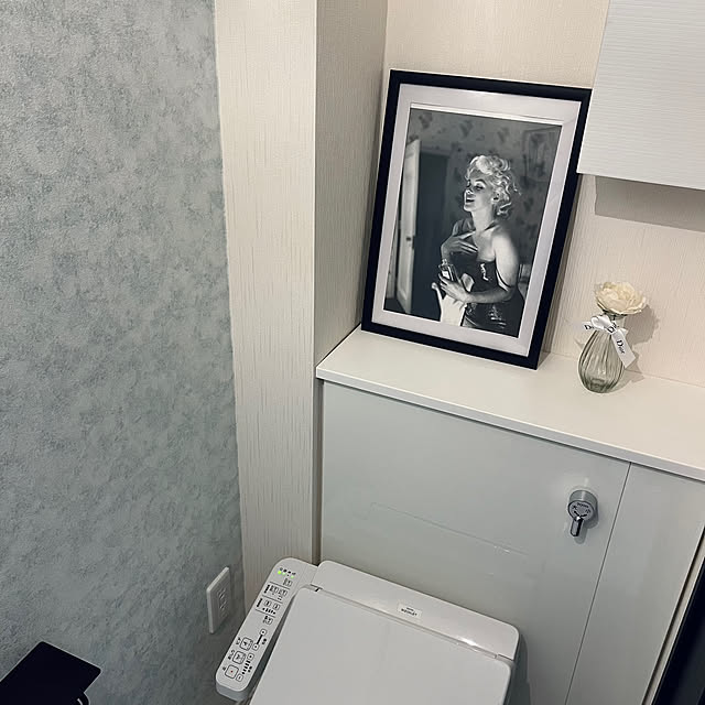 honocalpisさんの実例写真