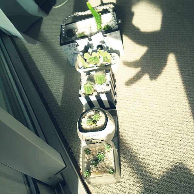 ...t_m_eee...さんの実例写真