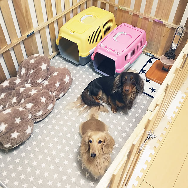 moiさんの実例写真