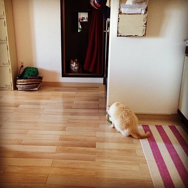 bobooooonさんの実例写真
