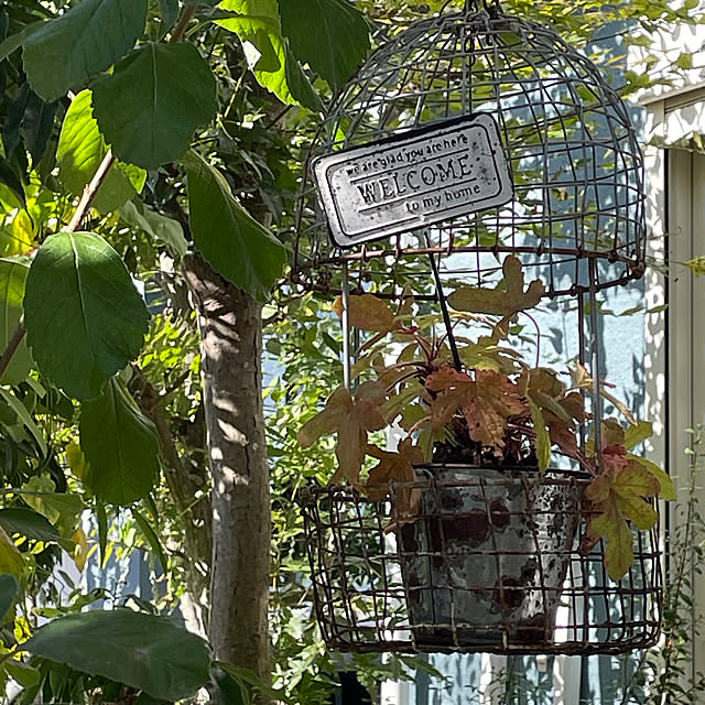 nobikoさんの部屋