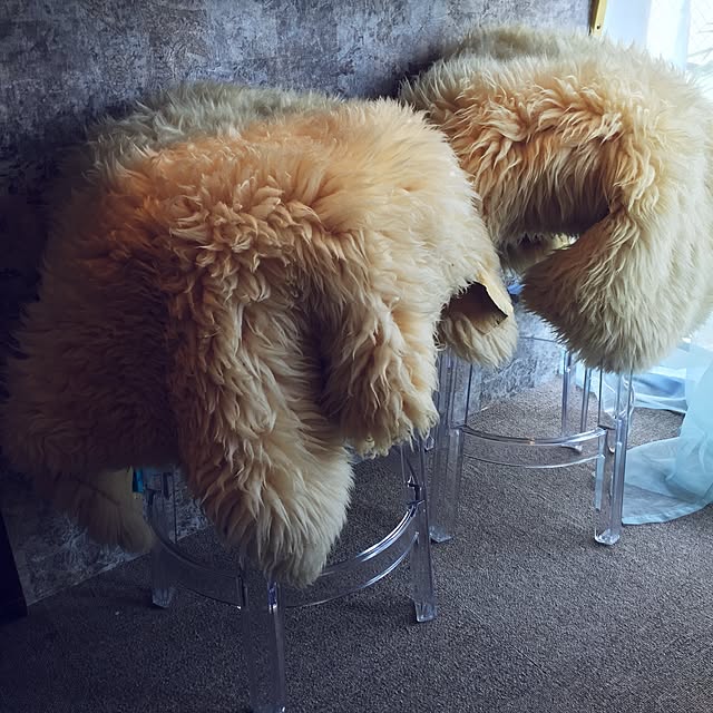 l_heureuxさんの実例写真