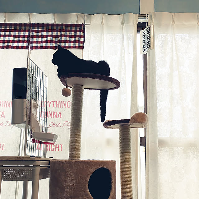 arasannさんの実例写真