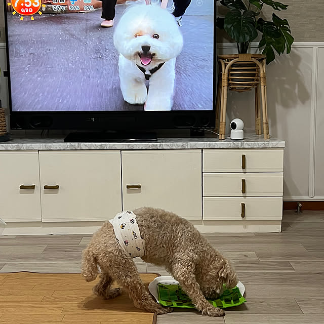 yukarimamaさんの部屋
