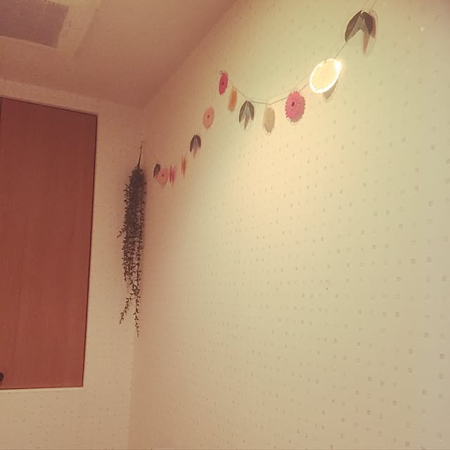 soraumi8さんの実例写真