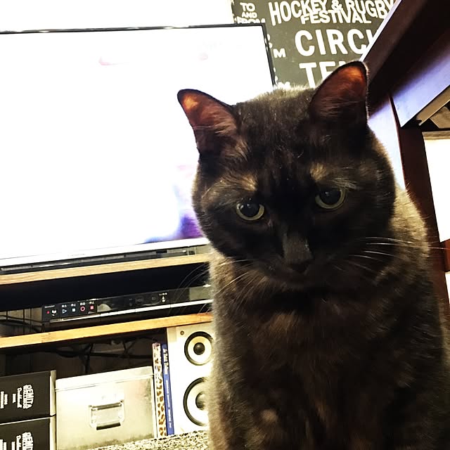 darakoさんの実例写真