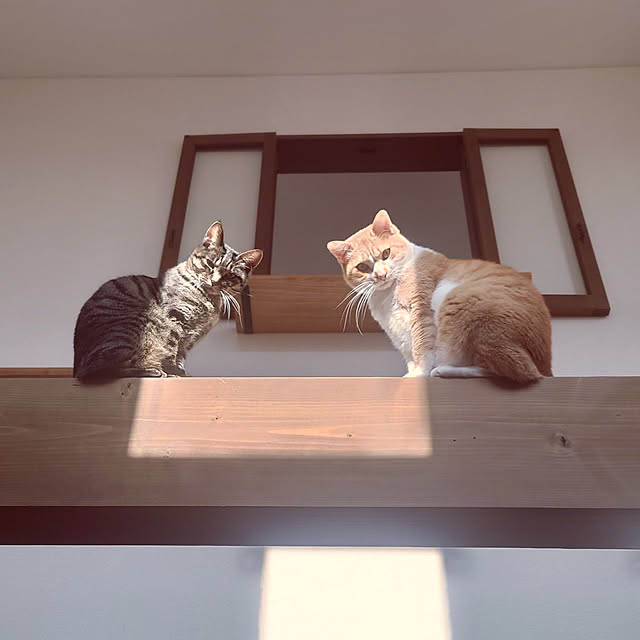 taka-kiさんの実例写真