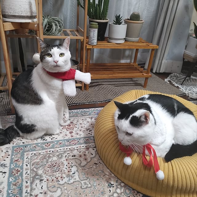 yuuさんの部屋