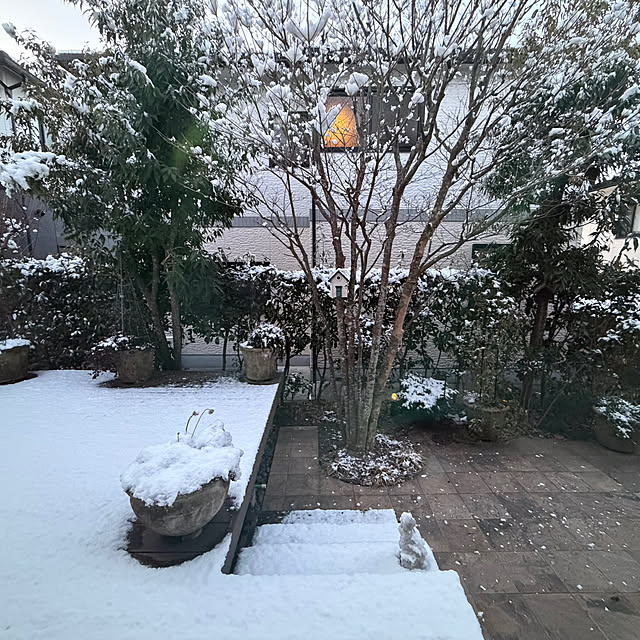 Yumiさんの実例写真