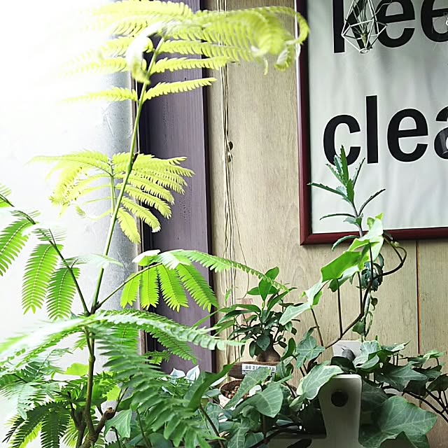 tomokaさんの実例写真
