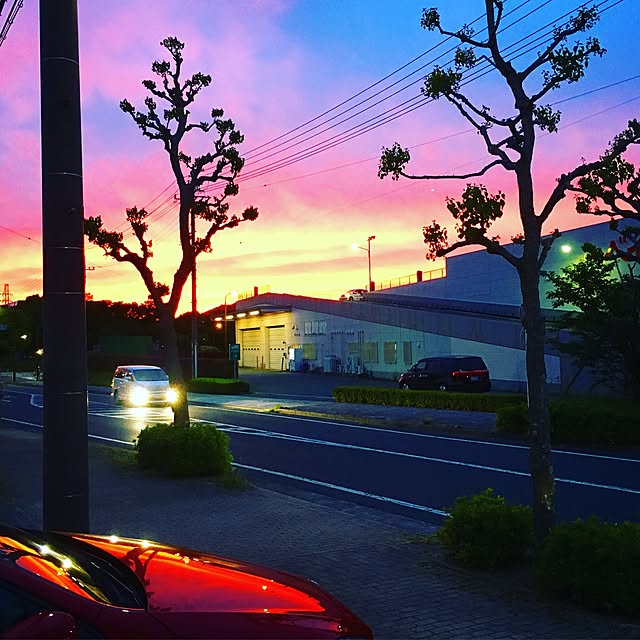 実例写真