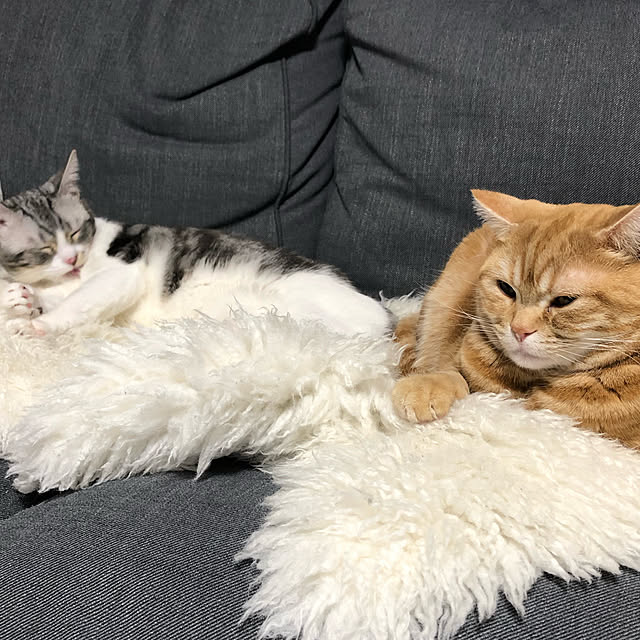 Atelier.mさんの実例写真