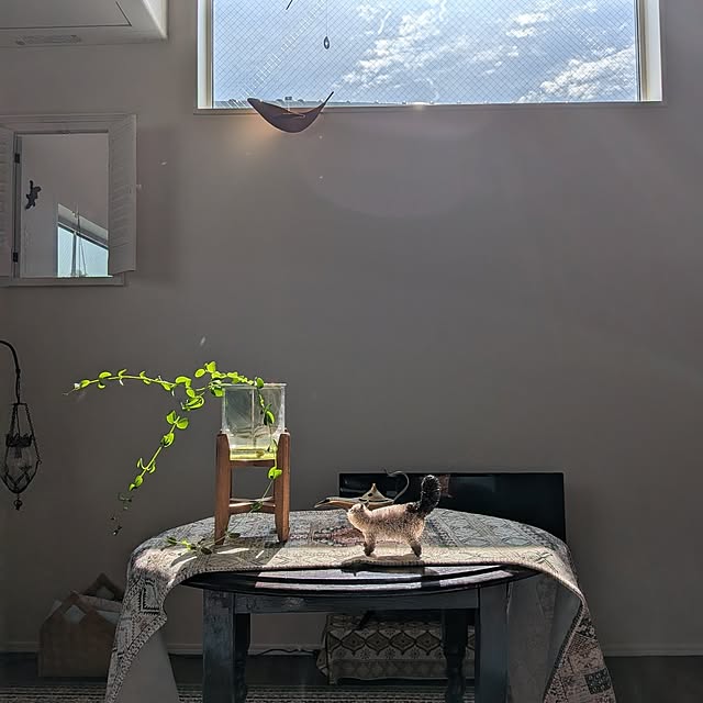 Maroさんの実例写真