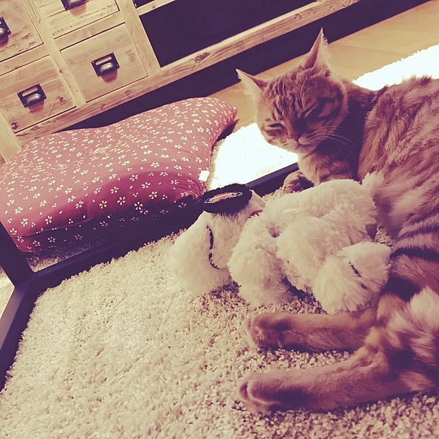 C.Tさんの実例写真