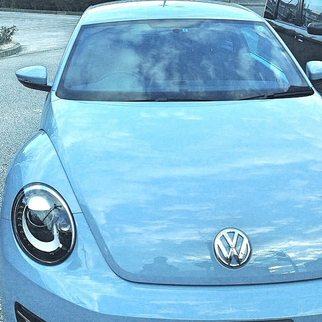 dicekbeetleさんの実例写真