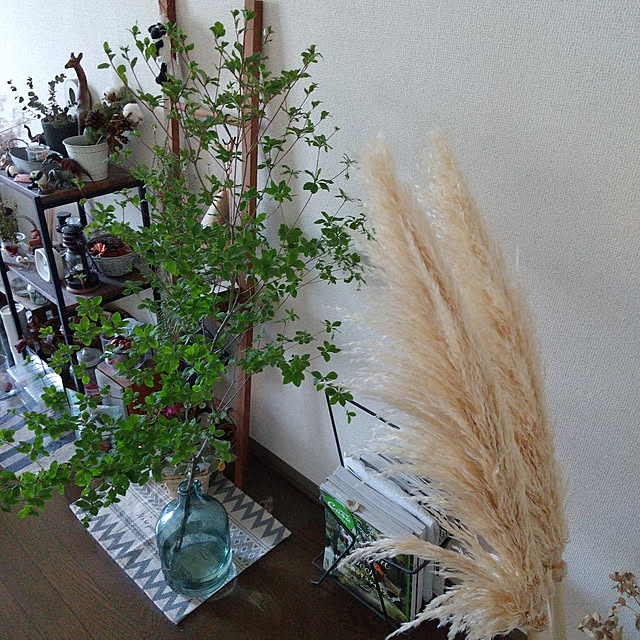 pinkoさんの実例写真