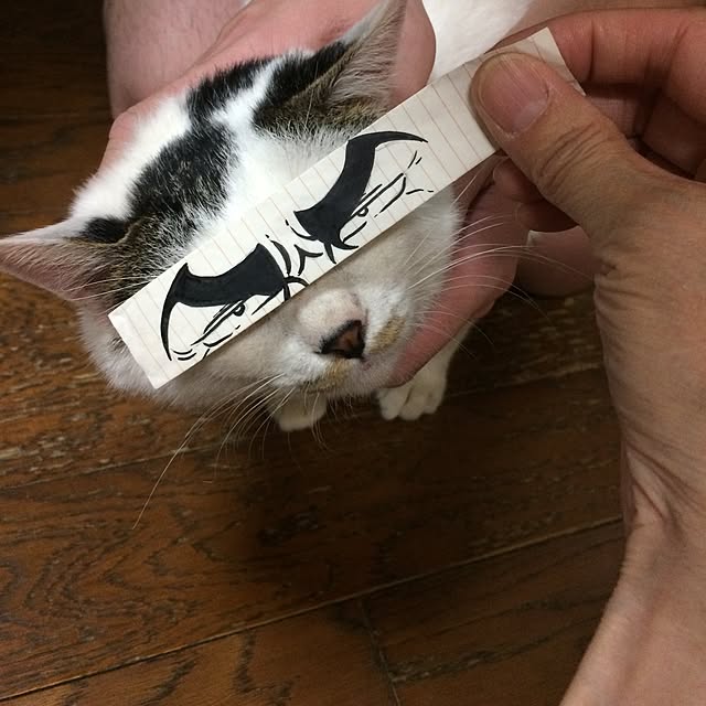 Masamiさんの実例写真