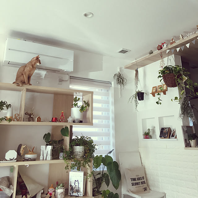 megu.catさんの実例写真