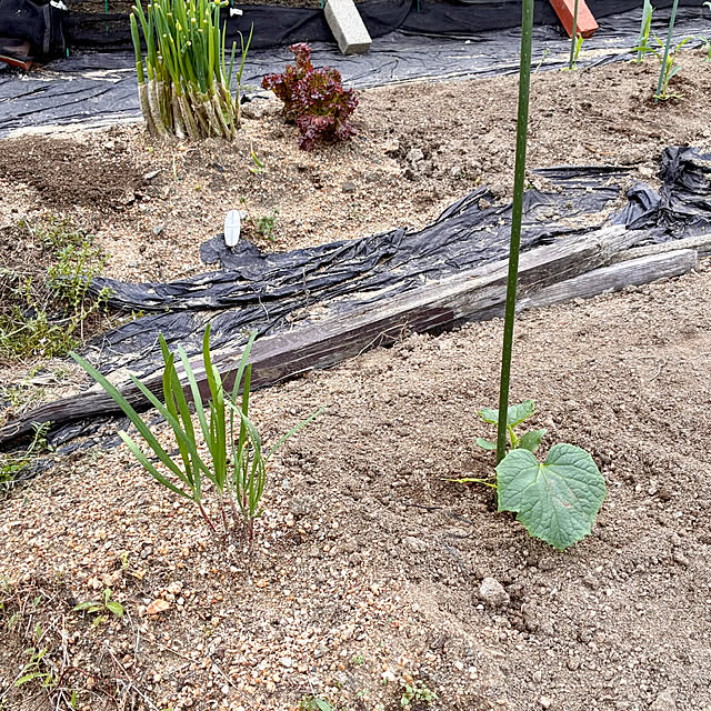 ayayayayaさんの部屋