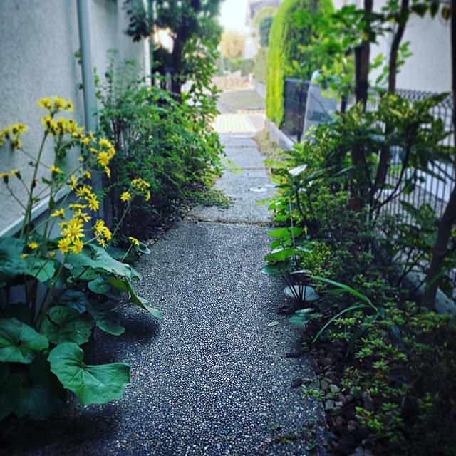 MARIE.color.interiorさんの実例写真