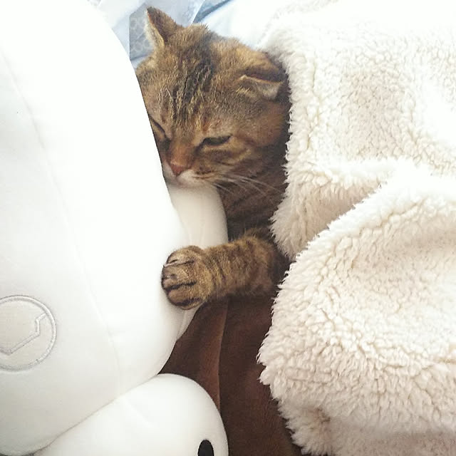 Y.Gさんの実例写真