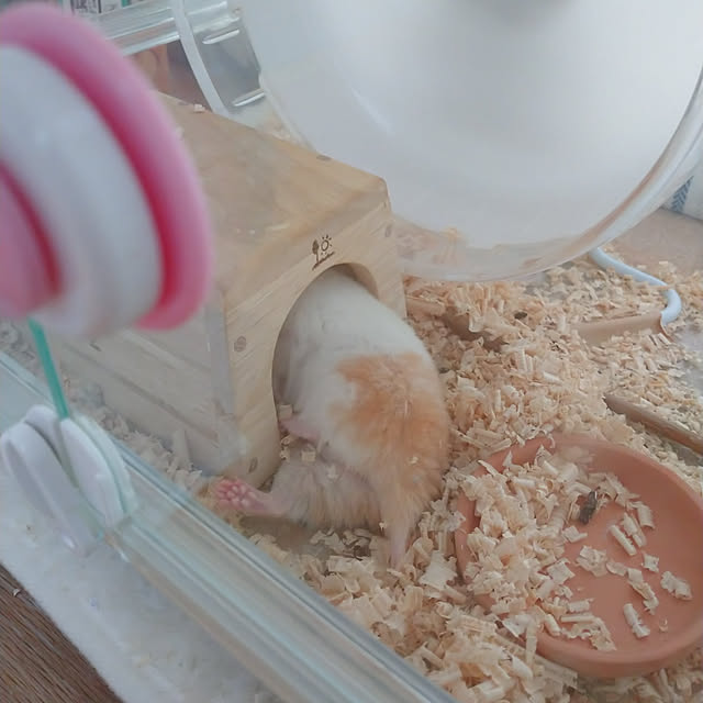 ym3さんの実例写真