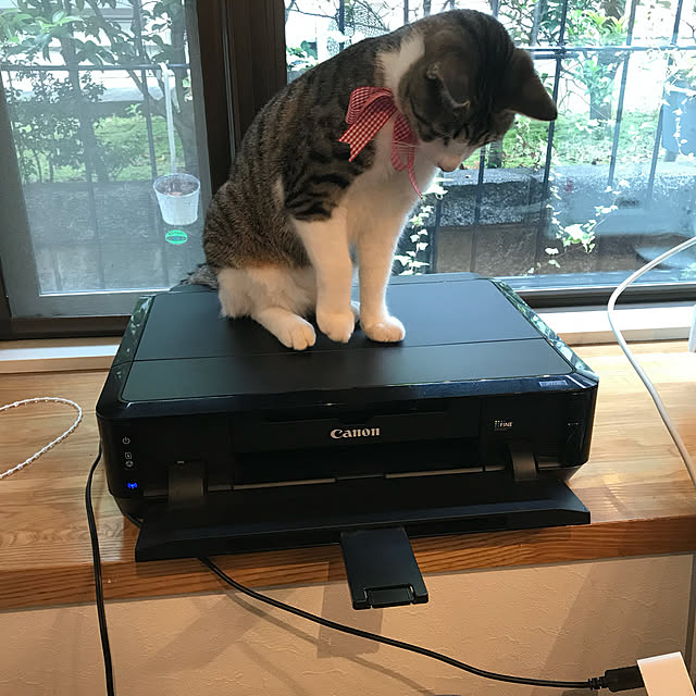 実例写真