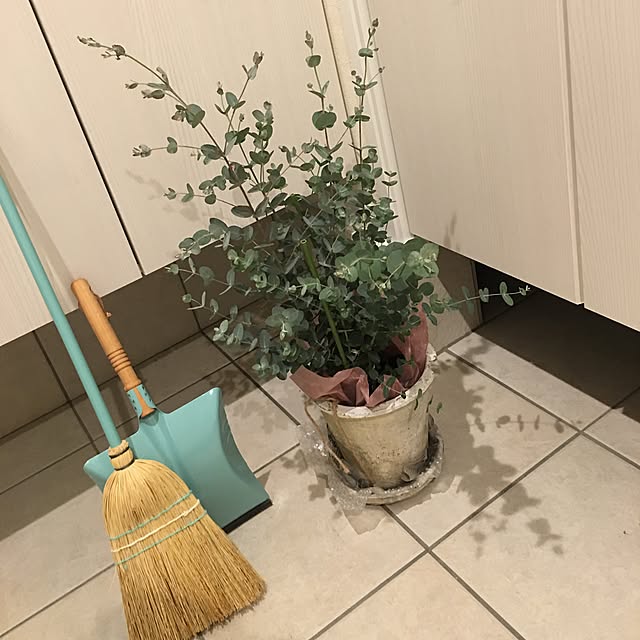 RRRさんの実例写真