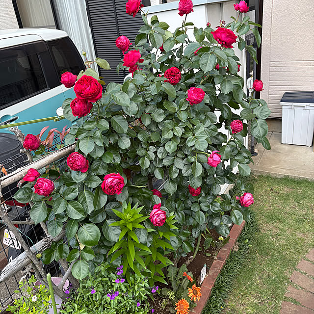KYONさんの部屋
