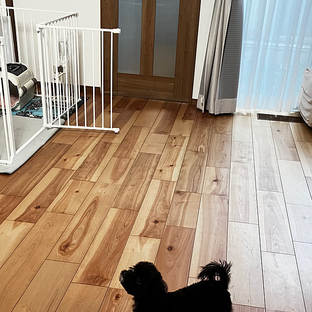 shinさんの部屋