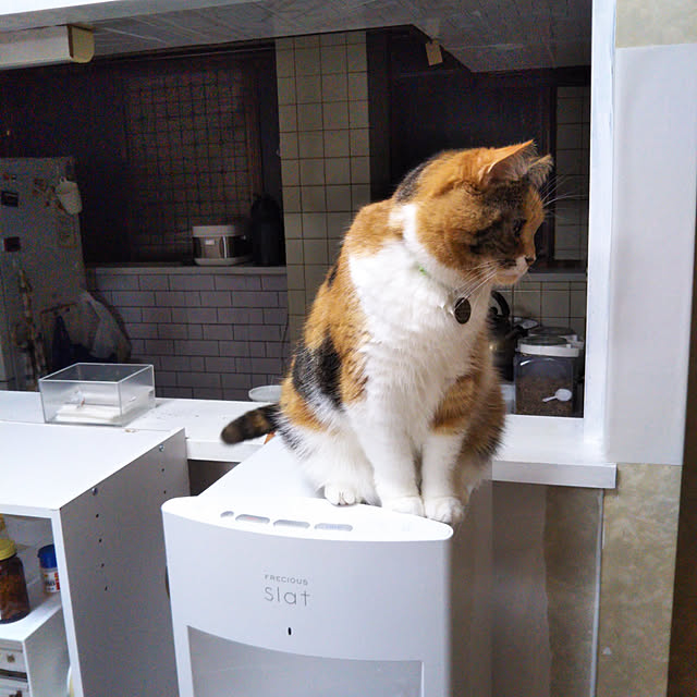 yukieさんの実例写真