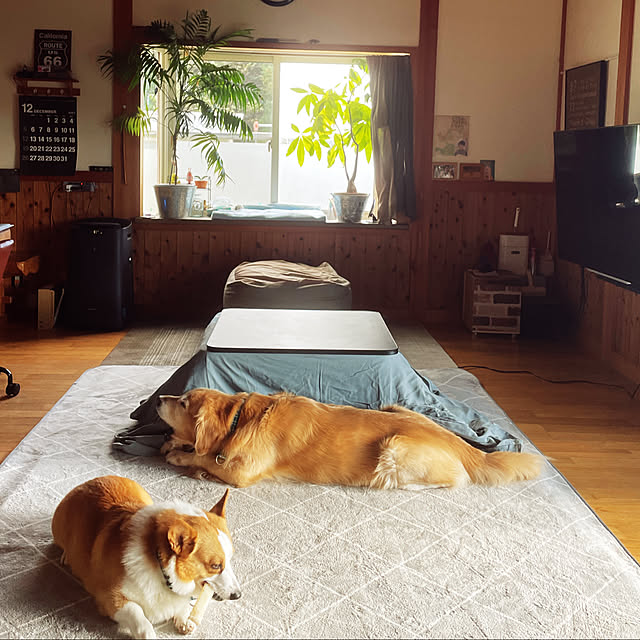 328さんの実例写真