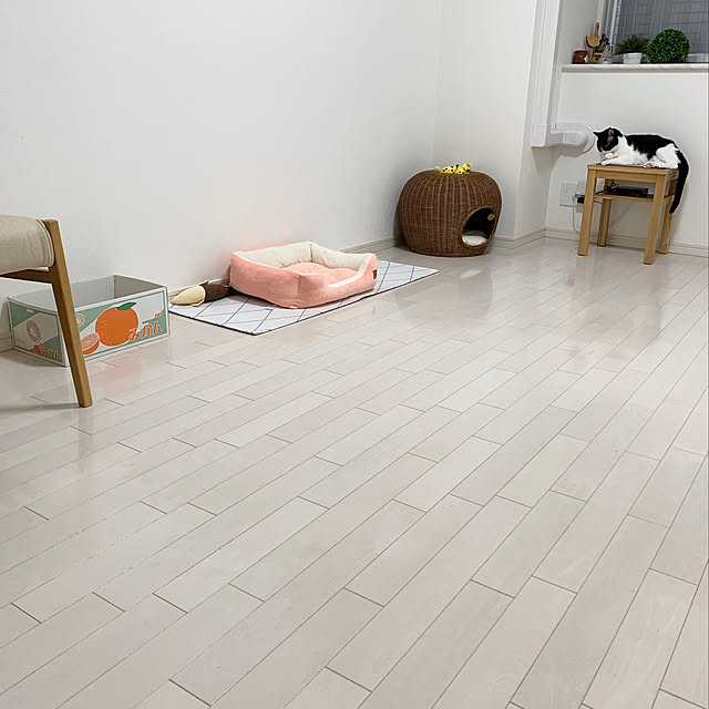 bikkeさんの実例写真