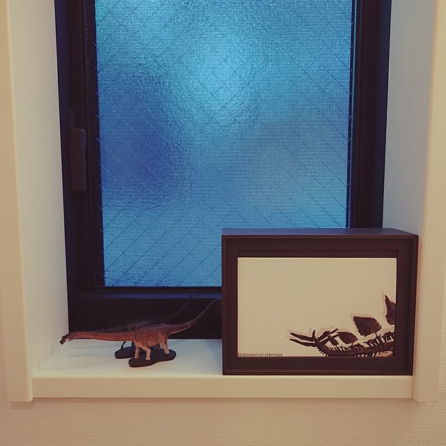 naoさんの実例写真