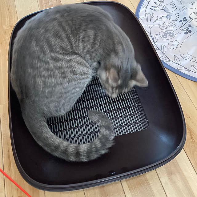 Yuccaさんの部屋