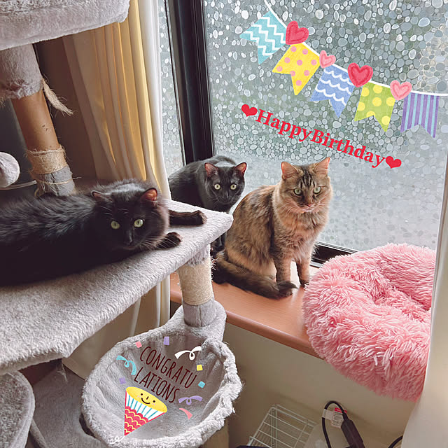 prelumoさんの実例写真
