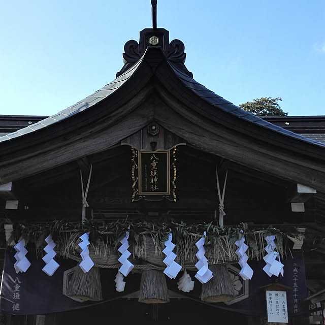 実例写真
